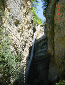 wp31cf087c_0f.jpg