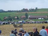 wpe5225736.jpg